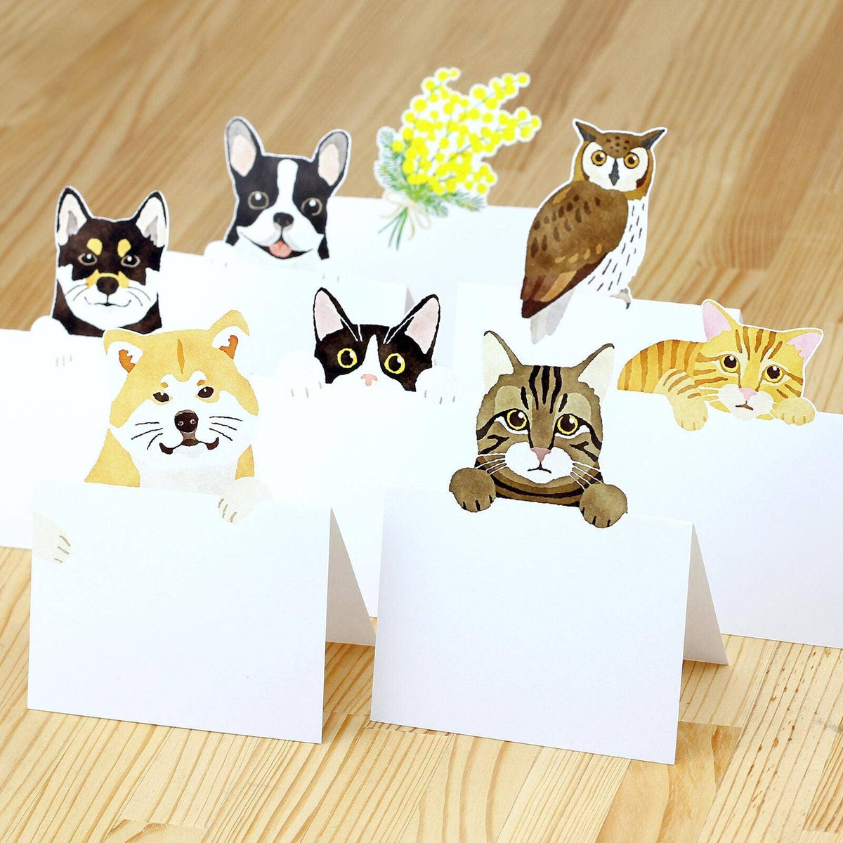 Cat Pop-Up Memo Pad