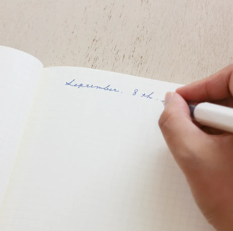 Midori Asano A5 Notebook | Japanese Grid Journal with Bird