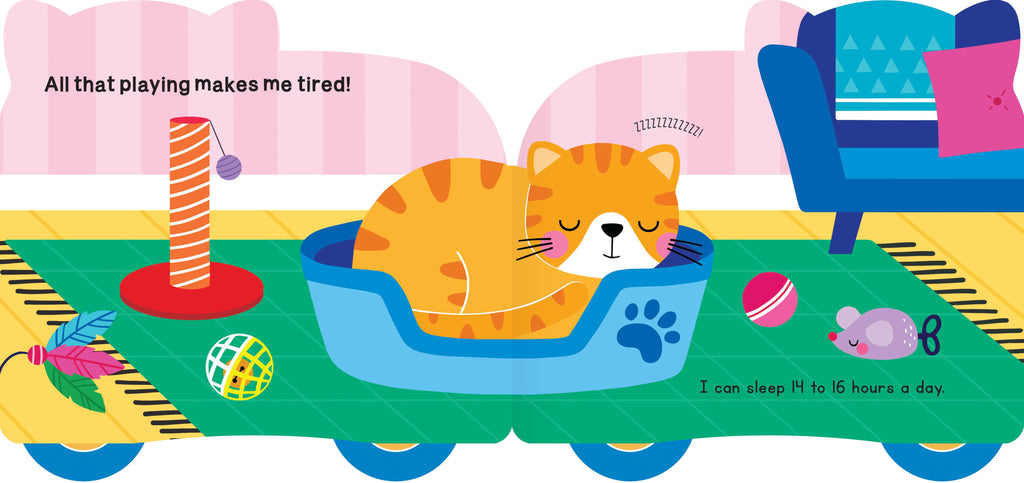 Rolling Pals: Matt the Cat