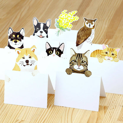 Cat Pop-Up Memo Pad