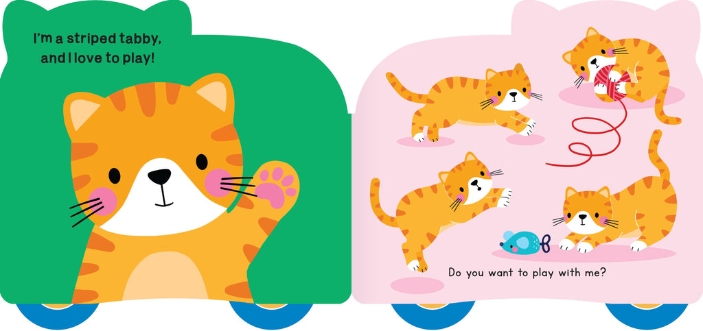 Rolling Pals: Matt the Cat